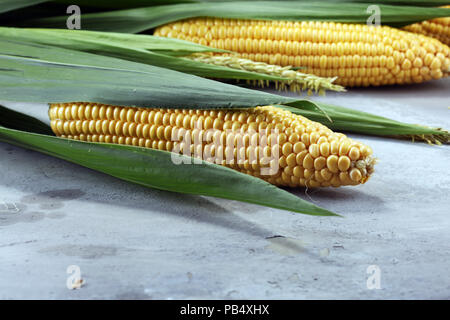 Fresh corn on cobs on rustic stone table. Stock Photo