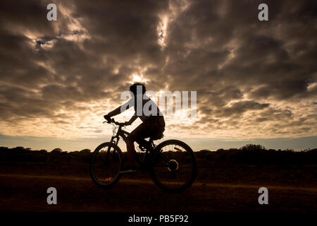 mountain biker woman in action with golden beautiful sunset in background, silhouette of athlete going on bike following the road and enjoying the sum Stock Photo
