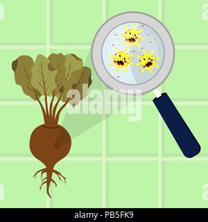 Beet contaminated with cartoon microbes being cleaned and washed in a kitchen. Microorganisms, virus and bacteria in the vegetable enlarged by a magni Stock Vector
