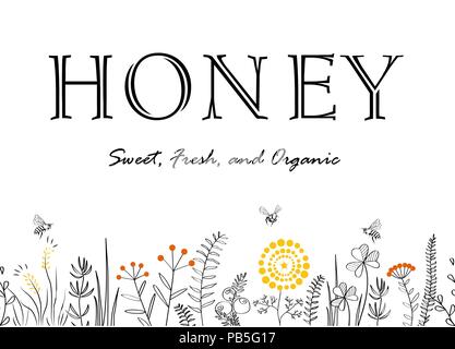 Vector nature seamless background with hand drawn wild herbs, flowers and bees on white. Doodle style illustration for print, card, banner and other h Stock Vector