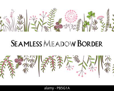 Meadow herbs seamless borders background. Floral illustration for posters, greeting cards, and other printing projects. Stock Vector