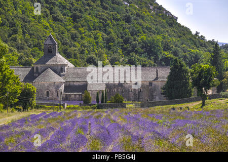 lavender field in front of Senanque Abbaye, near Gordes, Provence, France, massif of Luberon, medieval abbey of Cistercian Order Stock Photo