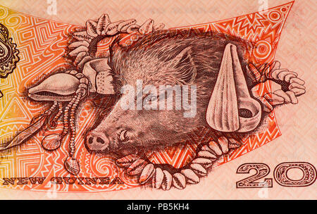 20 Papua New Guinean kina bank note. Papua New Guinean kina is the national currency Stock Photo