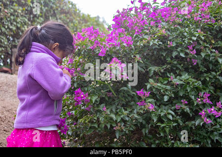 Cute little girl enjoying the smell of lilac flowers in the gardens of a park Stock Photo