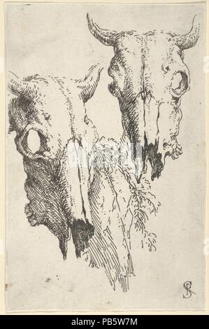 Two ox skulls and a portion of a third, study for 'Democritus in Meditation'. Artist: Salvator Rosa (Italian, Arenella (Naples) 1615-1673 Rome). Dimensions: Sheet: 5 9/16 × 3 5/8 in. (14.2 × 9.2 cm). Date: 1662. Museum: Metropolitan Museum of Art, New York, USA. Stock Photo