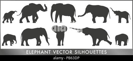 A group of small and big elephant silouettes - vector graphic. Stock Vector