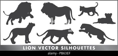A group of lion silouettes - vector graphic. Stock Vector
