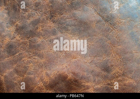 Surface of treated natural leather for leather products closeup as background Stock Photo