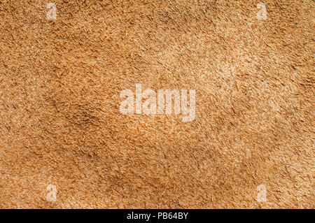 Backside of natural brown leather surface texture closeup as background Stock Photo