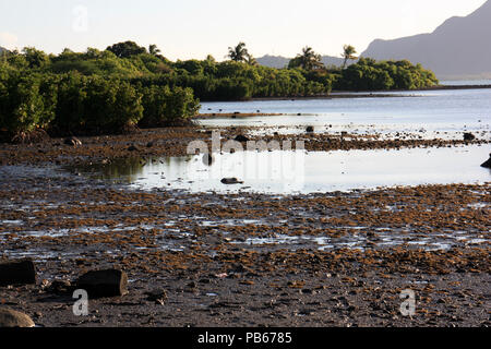 Mangroves around the Le Morne Brabant peninsula and the surrounding lagoon at the southwestern tip of Mauritius Stock Photo