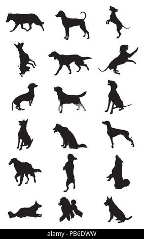 Vector set of monochrome different breeds dogs silhouettes in motion- sitting, standing, lying, walking in profile isolated on white background. Stock Vector