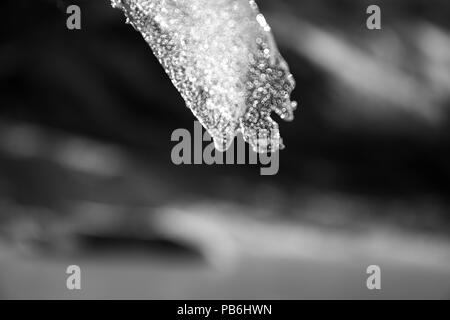 Hand holding a piece of broken ice up in the sun Stock Photo