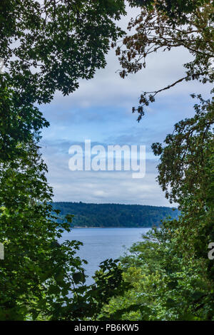 view of the shore in the distance through a gap in leaves Stock Photo