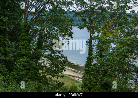 view of the shore in the distance through a gap in leaves Stock Photo
