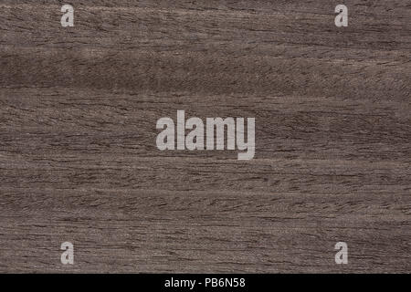 Exquisite veneer texture in ideal grey colour. Stock Photo