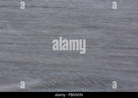 Beautiful oak veneer background in strict grey tone. Stock Photo