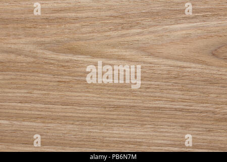 New oak venner texture for your effective individual design. Stock Photo