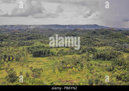 Chocolate Hills geological formation-rolling terrain of haycock hills-conical shaped limestone mounds grass covered-it turns chocolate brown in the dr Stock Photo