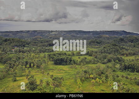 Chocolate Hills geological formation-rolling terrain of haycock hills-conical shaped limestone mounds grass covered-it turns chocolate brown in the dr Stock Photo