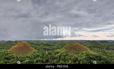 Chocolate Hills geological formation-rolling terrain of haycock hills-conical shaped limestone mounds grass covered-it turns chocolate brown in the dr Stock Photo