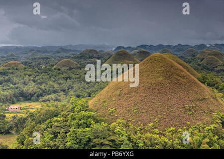 Chocolate Hills geological formation-rolling terrain of haycock hills-conical shaped limestone mounds grass covered-it turns chocolate brown in the dr Stock Photo