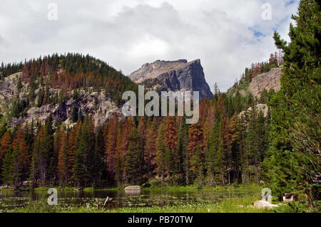Hallett Peak from Nymph Lake Rocky Mountain National Park Stock Photo