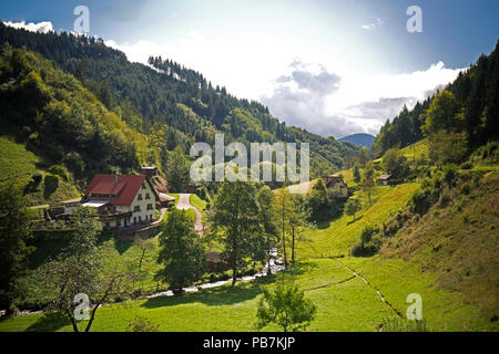 Lush green alpine valley with chalet and forested mountain slopes with a stream meandering though and rural road in a scenic landscape Stock Photo