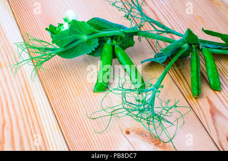 Branch of green peas with leaves and pods. Studio Photo Stock Photo