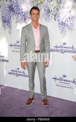 Cameron Mathison at the Hallmark Channel Summer TCA 2019 event in a ...