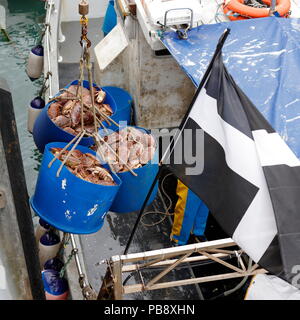 Newquay, Cornwall, UK. 27th July, 2018. Crab fishermen and tourists interact at Newquay Harbour.  As well as tourism, the harbour is an active commercial fishing centre which supplies crabs and fish to local restaurants. Credit: Nicholas Burningham/Alamy Live News Stock Photo