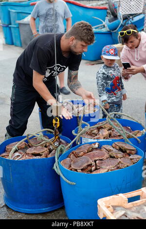 Newquay, Cornwall, UK. 27th July, 2018. Crab fishermen and tourists interact at Newquay Harbour.  As well as tourism, the harbour is an active commercial fishing centre which supplies crabs and fish to local restaurants. Credit: Nicholas Burningham/Alamy Live News Stock Photo