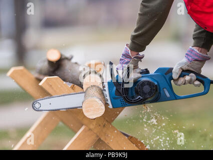 cutting a branch with chainsaw in the yard Stock Photo