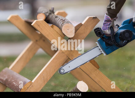 cutting a branch with chainsaw in the yard Stock Photo