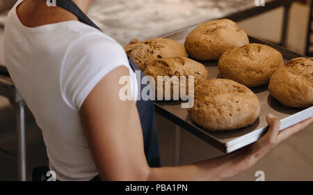 Close up of female baker holding a freshly baked bread on a baking tray. Woman carrying a tray of with baked bread in a bakery. Stock Photo