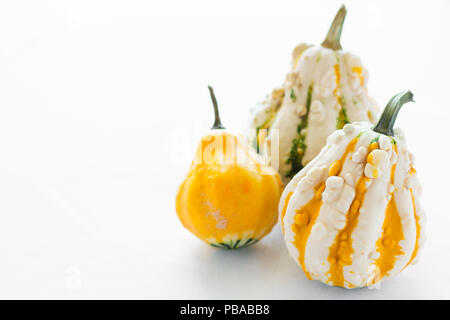 Three decorative pumpkins on white table cloth Stock Photo