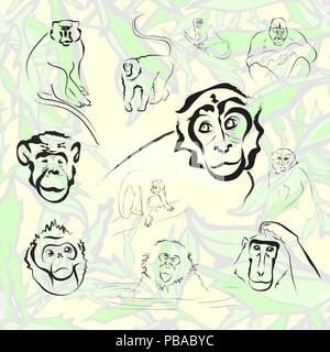 Ape and Monkey collection. Vector illustration Stock Vector