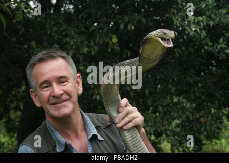 Presenter Nigel Marven holding King cobra (Ophiophagus hannah) China, May 2013. Model released. Stock Photo