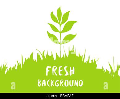 Fresh and green vector background. Spring or summer pattern. Grass and ash leaf Stock Vector