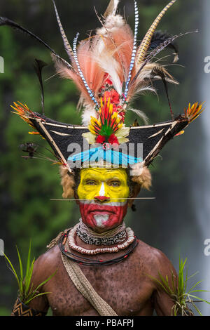 Chief Timon Tumbu Huli Wigman in traditional / ceremonial dress with plumes of Birds of Paradise, parrots and lorikeets. Tari Valley, Papua New Guinea. Stock Photo