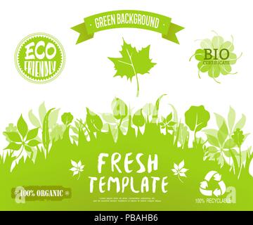 100% organic, eco friendly,  bio ?etrificate, recycable labels.Green forest silhoutte background. Vector banner, brochure or web page template. Green  Stock Vector