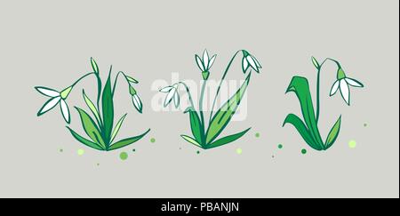 Vector set of cute fresh spring snowdrop flowers Stock Vector