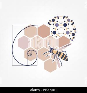 Nature inspiration icon. Vector illustration of honeycombs, bee, fibonacci spiral and molecule Stock Vector