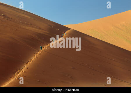 Walkers climbing towards the summit of Big Daddy, at 325m one of the highest sand dune in the world, Deadvlei, Namibia. Stock Photo