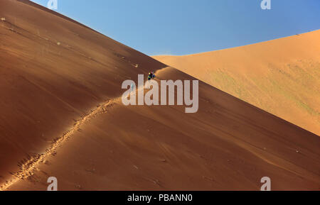Walkers climbing towards the summit of Big Daddy, at 325m the highest sand dune in the world, Deadvlei, Namibia. Stock Photo