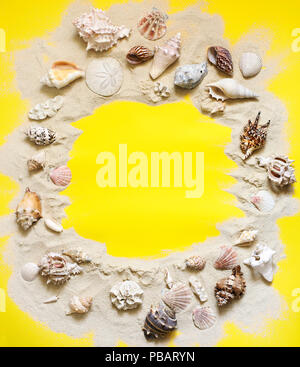 Exotic seashells and starfish collection flat lay on a yellow background, copy space Stock Photo