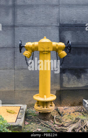 Fire hydrant on a street in Kuala Lumpur to prevent danger risk Stock Photo