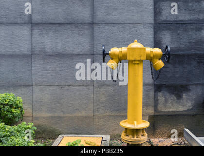 Fire hydrant on a street in Kuala Lumpur to prevent danger risk Stock Photo