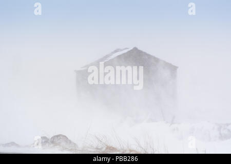Stone barn in a snow storm, Mallerstang, in the Yorkshire, Dales, UK. Stock Photo