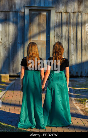 Long dress twin teen sisters hand in hand at the park sooden cabin Stock Photo