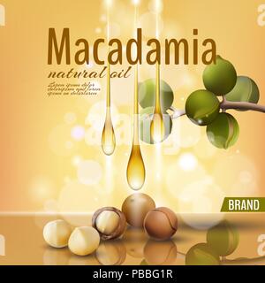 Realistic 3d macadamia nut oil cosmetic shell ad template. Branch leaves nutshell. Light golden sunny beauty care. Promotional detailed poster template reflection defocused vector illustration Stock Vector